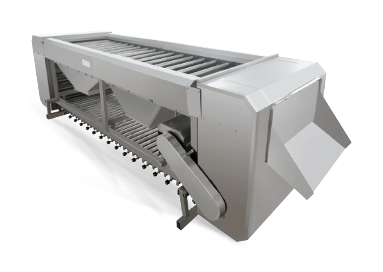 Equipos de clasificación de frutas y verduras